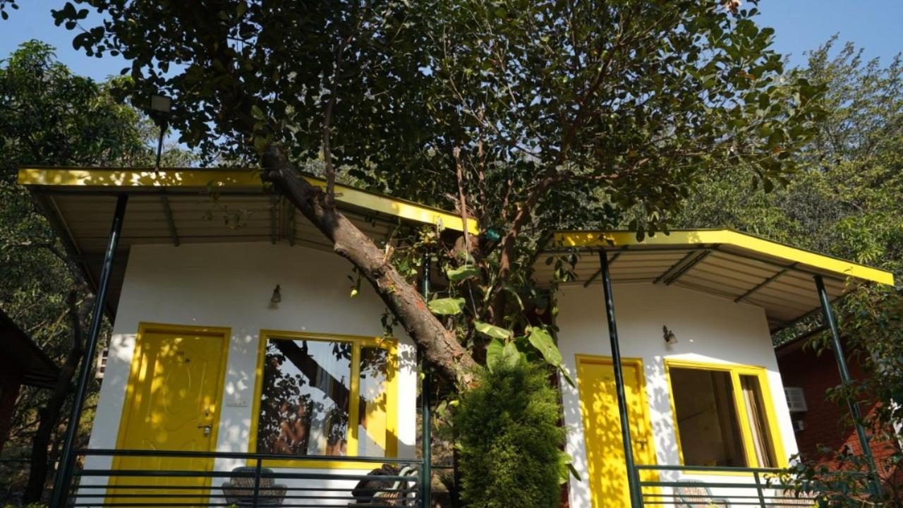The Hosteller Rishikesh, Tapovan Zewnętrze zdjęcie